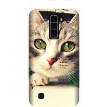 Kapakolur LG Sytlus 2 Kedi Baskılı Kapak Kılıf + Ekran Koruyucu Cam