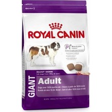 Royal Canin Shn Gıant Adult Dev Irk Yetişkin Köpek Maması 15 Kg