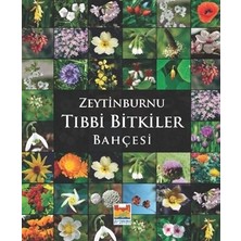 Zeytinburnu Tıbbi Bitkiler Bahçesi