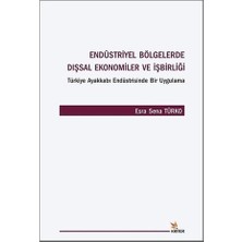 Endüstriyel Bölgelerde Dışsal Ekonomiler ve İşbirliği