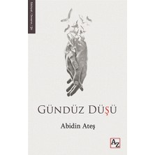 Gündüz Düşü