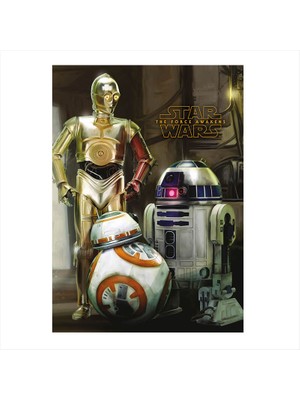 Cakasepetim Ahşap Tablo Star Wars The Force Awakens