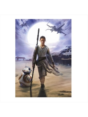 Cakasepetim Ahşap Tablo Star Wars Rey Ve BB8