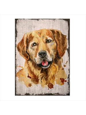 Cakasepetim Ahşap Tablo Sevimli Golden Köpek
