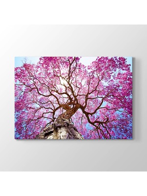 TabloShop Pembe Lapaku Ağacı Tablosu