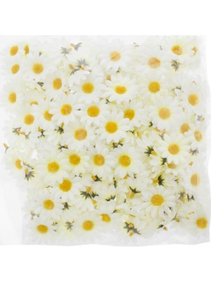 Zigzag Home Yapay Papatya Kafa Mini 4,5 cm 200'Lü Paket Asorti