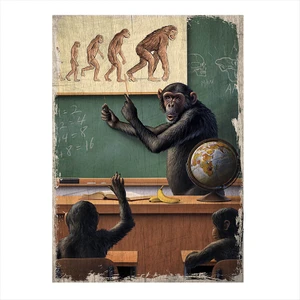 Ahşap Tablo Maymunların Evrim Teorisi