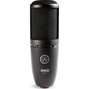 Akg Perception P120 Professional Studio Microphone Mikrofon