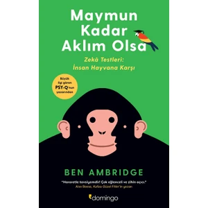 Maymun Kadar Aklım Olsa - Ben Ambridge
