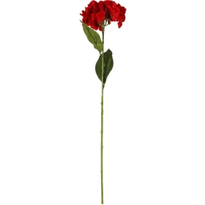 Ortanca Çiçek Kırmızı