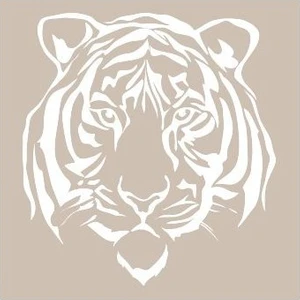 AS454 Stencil Şablon 21x29 cm