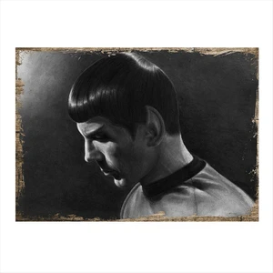 Ahşap Tablo Star Trek Mr Spock