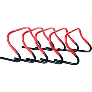 P2I200450 5 Li Engel Seti