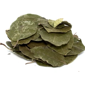 Aktarzane Avakado Yaprağı (Persea Gratissima) 50 Gr.