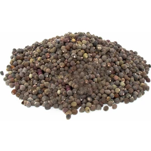 Aktarzane Bamya Tohumu 100 Gr