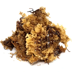 Aktarzane Deniz Kadayıfı 50 Gr.