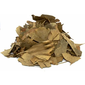 Aktarzane Ginkgo Biloba Mabet Ağacı 50 Gr.