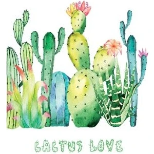 Cactus love 2 Not Defteri