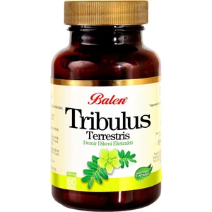 Tribulus Terrestris 500 mg 60 Kapsül
