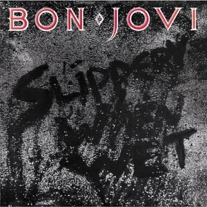 Bon Jovi - Slippery When Wet Plak