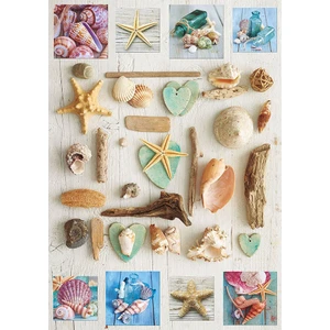 Puzzle 1000 Parça Deniz Kabukları 17658