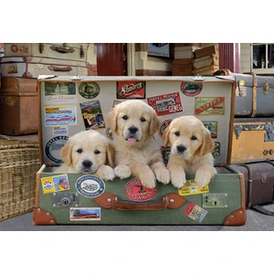 Puzzle 500 Parça Bagajdaki Yavru Köpekler 17645