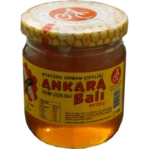 Atatürk Orman Çiftliği Süzme Ankara Çiçek Balı 480 Gr