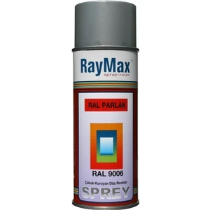 RayMax Sprey Boya Gümüş Gri 9006