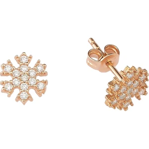 Gümüş Kar Tanesi Küpe