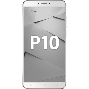 P10 Gri