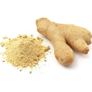 Sosyete Şifacısı Zencefil Toz 250 Gram