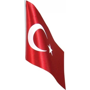 Bayrak Masaüstü 15X22,5 Çift Katlı Bkt-136