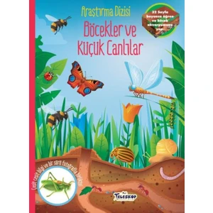 Böcekler Ve Küçük Canlılar - Ballon Medıa