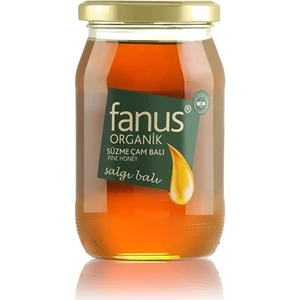 Organik Çam Balı 460 gr