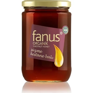 Organik Kestane Balı 850 gr