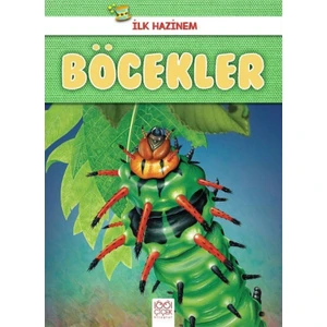 İlk Hazinem:Böcekler - Denise Ryan