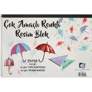 Alex Resim Def. 35X50 Spr. Renkli 120Gr 25Li 0299