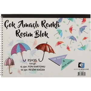 Alex Resim Def. 25X35 Spr. Renkli 120Gr 25Li 0589