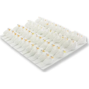 Mutlu Adım 48 Adet 3 x 1 cm Strafor Köpük Güvercin Kuş
