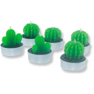 Mutlu Adım 6 Adet Kaktüs Tealight Mum