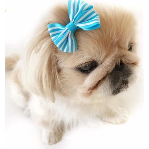 Toka By Stripe Serisi Mavi Köpek Tokası