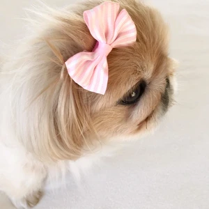 Toka By Stripe Serisi Pembe Köpek Tokası