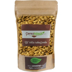 Çerez Tabağı Dut Kurusu 500 gr