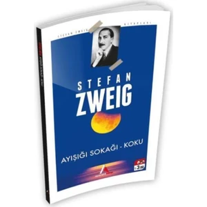 Ayışığı Sokağı - Stefan Zweig