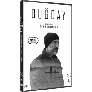 Buğday DVD