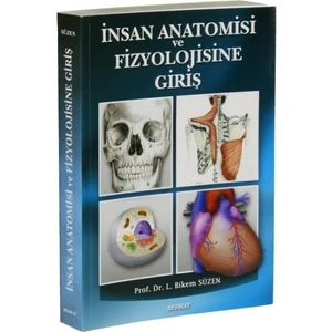 İnsan Anatomisi Ve Fizyolojisine Giriş