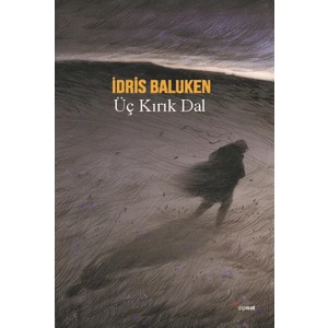 Üç Kırık Dal - İdris Baluken