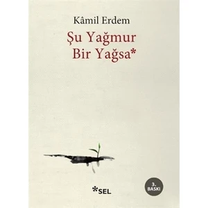 Şu Yağmur Bir Yağsa - Kâmil Erdem