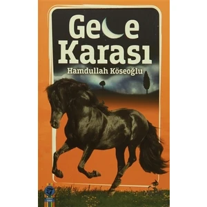Gece Karası