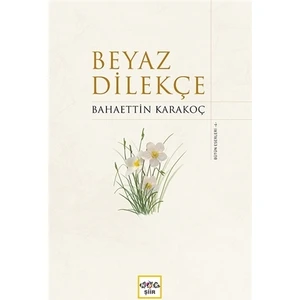 Beyaz Dilekçe